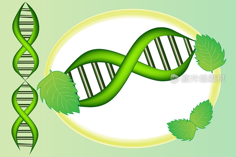 DNA cell plant icon background